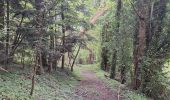 Trail Walking Le Mesnil-Simon - Le Mesnil Simon - Photo 19