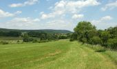 Tocht Te voet Voznice - [Ž] Mníšek pod Brdy-Voznice - Photo 4