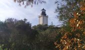 Randonnée Marche Ramatuelle - Sentier du littoral - Photo 17