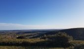 Tocht Stappen Clermont-l'Hérault - La Ramasse - Photo 4