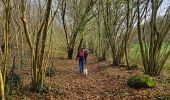 Excursión Senderismo Profondeville - Balade à Arbre - Profondeville - Photo 5