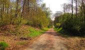 Tour Wandern Longpont - en forêt de Retz_77_Longpont_Puiseux en Retz_AR - Photo 13