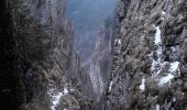 Excursión Senderismo Autrans-Méaudre en Vercors - La Cheminée par Babois - Photo 1