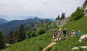 Tour Wandern Saint-Pierre-de-Chartreuse - Le Charmant Som par Le Collet - Photo 4