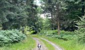 Trail Walking Libramont-Chevigny - Séviscourt - Photo 15