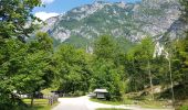 Tour Zu Fuß Wochein - Wikiloc Bohinj Slap Savicaa - Photo 9