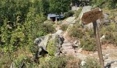 Trail Walking Palneca - 4 eta gr 20 Col de veldre - Campanelle Ghisoni - Photo 2