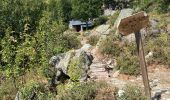 Trail Walking Palneca - 4 eta gr 20 Col de veldre - Campanelle Ghisoni - Photo 2