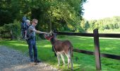 Tour Zu Fuß Clavier - WandArdNat 14:Pailhe, een bosreservaat op een heuvel (PVDB) - Photo 7