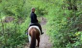 Trail Horseback riding Hériménil - Élodie 2 tivio - Photo 15