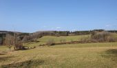 Tour Wandern La Roche-en-Ardenne - rando ornitho warempage 24/02/2021 - Photo 8