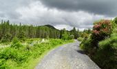 Trail On foot Westport-Belmullet Municipal District - Botky Teep - Photo 8