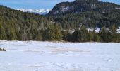 Tour Schneeschuhwandern La Llagonne - Les Bouillouses.( 66 MT LOUIS ) Pla des Aveillans-barrage des Bouillouses  - Photo 12