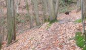 Percorso Marcia Chambourcy - chambourcy 7km - Photo 10