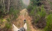 Trail Horseback riding Neufchâteau - Bois de la Fosse - Photo 3