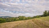 Percorso A piedi Baunach - Greifvogel-Wanderweg Baunach - Photo 3