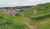 Excursión A pie Wallhausen - VitalTour: Stein, Wein & Farbe - Photo 1