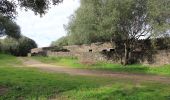 Percorso A piedi Villanova Truschedu - Nuraghe Santa Barbara - Photo 10