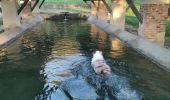 Percorso Sentiero Tossiat - lavoir tossiat- rignat-lavoir tossiat  - Photo 1