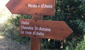 Trail Walking Utelle - Le chaudan (06) - Photo 9
