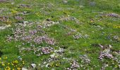 Tocht Stappen Allos - Lac Allos- Col petite cayole - Pas du Lausson - Photo 4