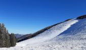 Tour Wandern Bouvante - Crête des Gagères - Photo 4