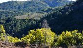 Randonnée Marche Tanneron - Tanneron par Les Farinas - Photo 5