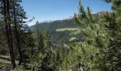 Tour Zu Fuß Bergün Filisur - Monstein - Jenisberg - Photo 9