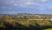 Tocht Stappen Barneville-Carteret - Séjour Cotentin Etape 6 Barneville - Portbail - Photo 9