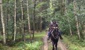 Trail Horseback riding Bastogne - Livarchamps 28 août 2021 - Photo 3