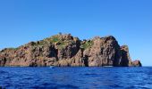 Randonnée Bateau à moteur Ota - Calanques par la mer Scandola Girolata - Photo 11