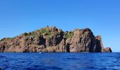 Tocht Motorboot Ota - Calanques par la mer Scandola Girolata - Photo 11