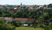 Excursión A pie Kladruby - Okružní naučná stezka Kladruby - Photo 4