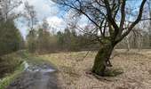 Tour Wandern Woensdrecht - Volksabdij Kalmthout 14,8 km - Photo 10