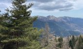 Trail Walking La Bollène-Vésubie - Turini - Photo 1