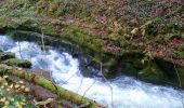 Tour Wandern Lavans-lès-Saint-Claude - Ponthoux Cuttura  - Photo 5