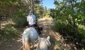 Trail Horseback riding Revest-du-Bion - Provence 2025 J5 - Photo 12
