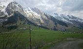 Tocht Mountainbike Le Grand-Bornand - Tour du Danay - Photo 1