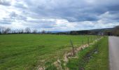 Trail Walking La Roche-en-Ardenne - Samree 190324 - Photo 2