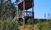 Tour Wandern Vielsalm - Promenade de la Fagne Sacrawé  - Photo 3