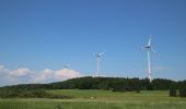 Tour Zu Fuß Bad Endbach - Wanderweg E12 / Bottenhorner Heide - Photo 5