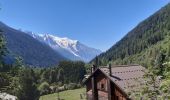 Excursión Senderismo Chamonix-Mont-Blanc - les Tines Planet lavancher par petit balcon - Photo 9