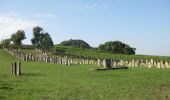 Tour Zu Fuß Markt Nordheim - Wanderweg Blauer Tropfen / Markt Nordheim - Bullenheim - Photo 1