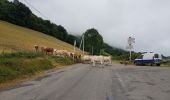 Randonnée Cyclotourisme Barbazan - Barbazan - Les Bettes - Photo 5