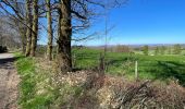 Excursión Bici de montaña Feytiat - De Feytiat à Aureil puis Eyjeaux et retour - Photo 1