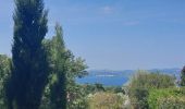 Tour Wandern Bolsena - CR_Francigena_DL_48_Bolsena_Montefiascone_20230531 - Photo 5