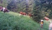 Tour Wandern Fillière - GLIERES: MONUMENT - COL DE L'OVINE - CHALET DE L'OVINE - CHALETS DES AUGES - Photo 15