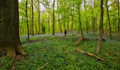 Tour Wandern Châtelet - Marche Adeps à Soleilmont - Photo 13