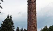 Tour Zu Fuß Schleusingen - Rundwanderweg Vessertal - Photo 9