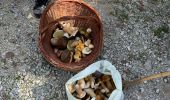 Tour Wandern Gabre - Champignons 26/08 - Photo 1